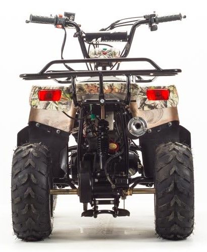 Квадроцикл Motoland 110 Rider Квадроцикл Motoland 110 Rider